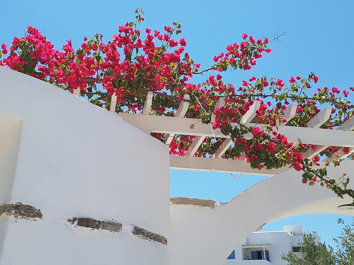 Kastro Antiparos 아파트 호텔 외부 사진